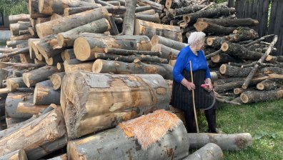 Пореден удар по джоба на българина: Дървата за огрев поскъпнаха драстично