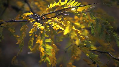 Ето какво време ни очаква през следващите няколко дни