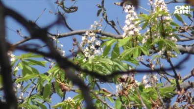 Презапасяването с храна води до изхвърляне