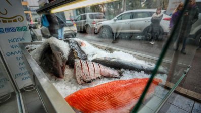 Килограм шаран вече удря 12 лв., какви са правата на потребителите?