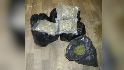 Разбиха нарколаборатория в Костинброд, иззеха 15 кг канабис