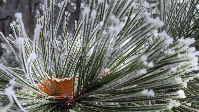 Времето днес: Облачен петък с превалявания от сняг в планините