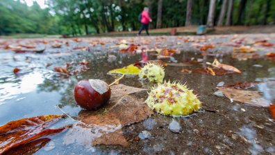 Времето се влошава: Обявиха жълт и оранжев код