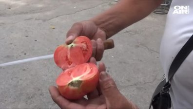Вид или вкус: По какво се различават българските зеленчуци от вносните?