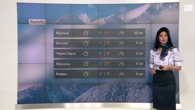 Централна прогноза