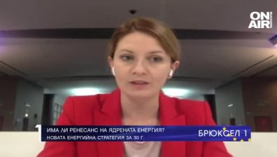 Цветелина Пенкова: В следващите 5-6 години АЕЦ“Белене“ може да бъде пуснат в употреба