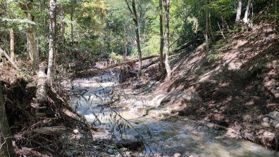 Природно бедствие или човешка намеса - откриха много трупи в горите над Карлово