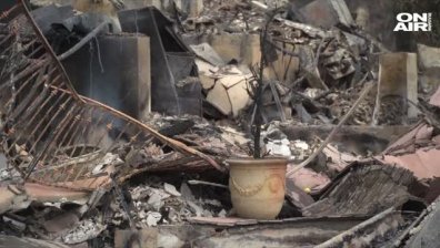 Няма спирка: Жертвите на пожарите в Калифорния станаха 71