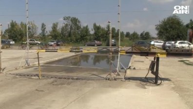 Заради чумата: Русия спира вноса на свинско месо от България