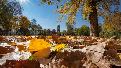 Времето в понеделник: Слънчево, но хладно
