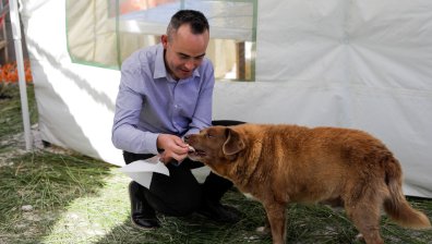 Почина най-възрастното куче в света - Боби, доживял рекордните 31 години