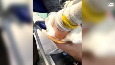 Скандал в Разлог: Дете със счупен крак бе обездвижено с кутия за пица
