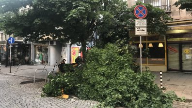 След стихията: България се възстановява от опустошителните градушки