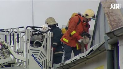 Голям пожар горя в бивша текстилна фабрика в "Подуяне"