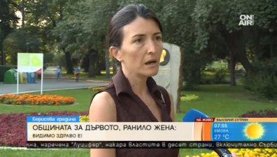 Клонът, който едва не уби жена в парка, изглеждал напълно здрав