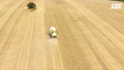 Ковид-19, суша, нов данък... Земеделците са заплашени от фалити