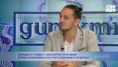 Странни фигури в подножието на Витоша