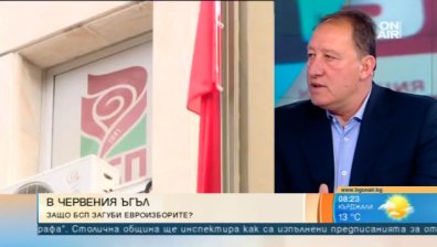 След загубата ръководството на БСП искало да прехвърли отговорността на местните структури