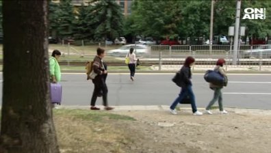 Над 800 глобени в София за неправилно пресичане