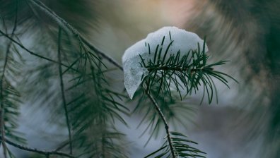 Дъждовен петък в цялата страна и снеговалеж в планините