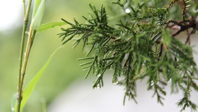 Краткотрайни, но интензивни валежи и захлаждане в края на работната седмица
