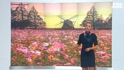 Очаква ни топъл ден с максимални температури между 13 и 24 градуса