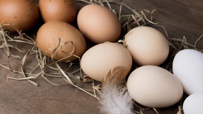 Министърът на земеделието поиска ЕК да забрани вноса на яйца от Украйна у нас