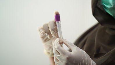 Първи случай на треска Чикунгуня в България