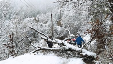 Без ток и телефонни връзки: Битката с щетите продължава в десетки места в Смолянско