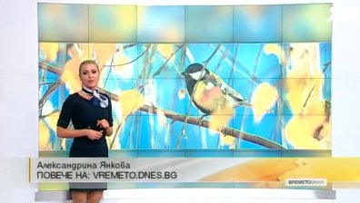 Централна прогноза