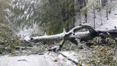 Усложнена пътна обстановка, южните планински проходи остават затворени за ТИР-ове