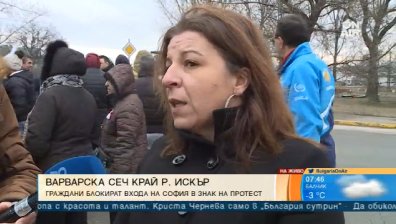 Столичани на бунт заради варварска сеч в квартал "Абдовица"