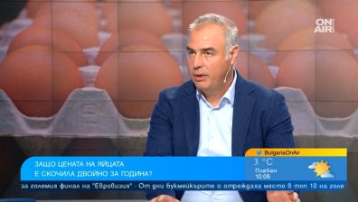 Българските яйца са сред най-евтините на едро в Европа, потребителите търсят домашните