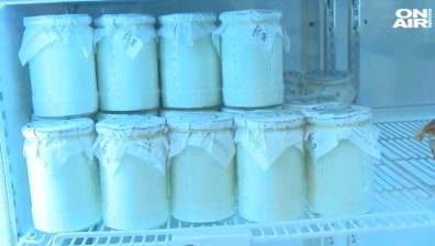 "Активни потребители": Прясното мляко у нас масово е с добавено сухо мляко