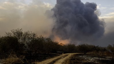 МВнР със съвети за безопасно пътуване заради пожарите в Гърция