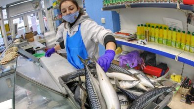 Плащаме по-скъпа риба за Никулден, важно е тя да бъде прясна