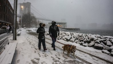 Историческа снежна буря удря САЩ: Извънредно положение и рекордни снеговалежи
