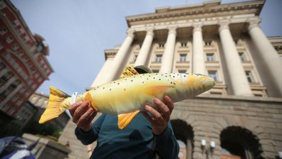 Рибари протестираха срещу лошото състояние на реките