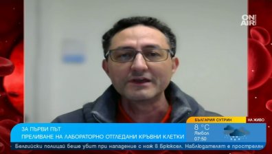 Революционно: Преливането на лабораторно отгледани еритроцити ще намали донорството
