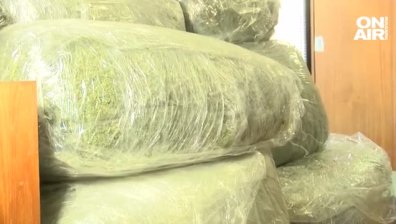 "Може да ги подмамят да опитат": Родители бият тревога за разпространението на наркотици в училищата