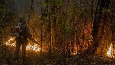 Пожари унищожиха огромни площи в Бразилия, обявиха извънредно положение