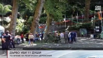 Дърво падна и уби 11 души в Португалия