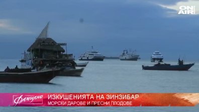Кулинарната магия на Занзибар