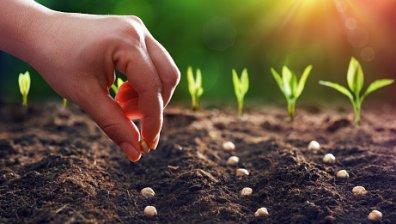 Защо храната, която ядем и начинът ѝ на приготвяне вредят на планетата и здравето ни?