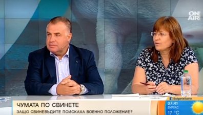 Ще поскъпне ли свинското месо заради африканската чума по свинете?