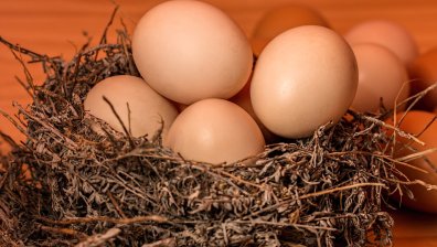 Как да разберем дали яйцата са годни и безопасни за консумация?