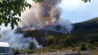 Гори гората над Карлово, гасенето е на ръка