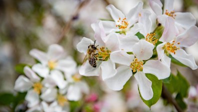 Прогноза за март и април: Пролетта настъпва със затопляне, вятър и дъжд