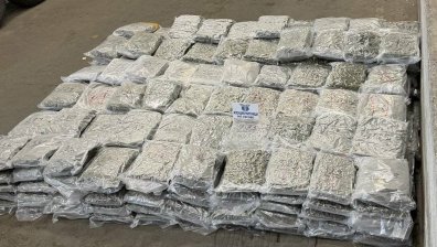 Задържаха турчин на Лесово с 363 кг марихуана за 3 млн. евро