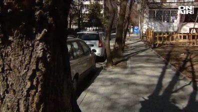 Вандалска проява: Опит за унищожаване на дървета в кв. "Оборище" в столицата